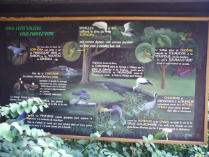 Jardin-des-Plantes-(58)