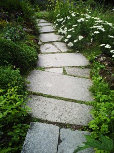 Jardin-des-Plantes-(75)