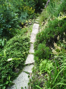 Jardin-des-Plantes-(76)