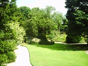 Jardin-des-Plantes-(78)