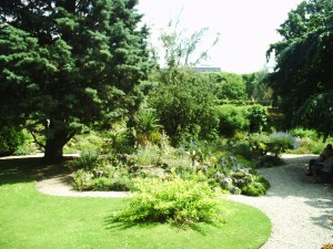 Jardin-des-Plantes-(79)