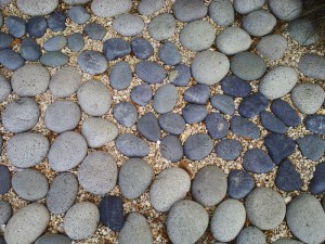 Jardin-des-Plantes-(93)