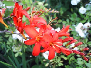 L'instant-et-l'éphémère-(17)