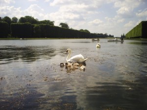 3.-Bateau,-bien-sûr-!