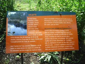 Jardin-des-Plantes-(18)