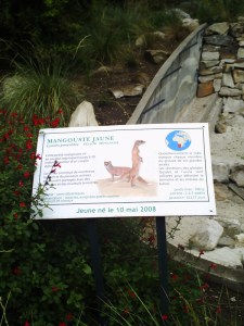 Jardin-des-Plantes-(52)