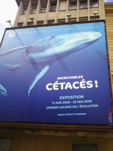 Jardin-des-Plantes-(67)