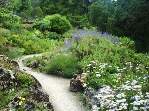 Jardin-des-Plantes-(82)