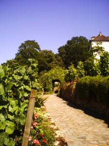 Show-visit-à-Montmartre-(26)