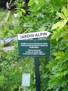 Jardin-des-Plantes-(4)