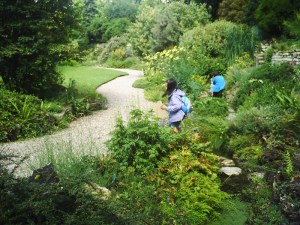 Jardin-des-Plantes-(10)
