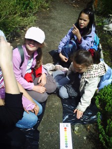 Jardin-des-Plantes-(28)