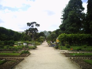 Jardin-des-Plantes-(33)