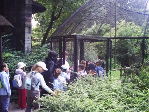 Jardin-des-Plantes-(57)