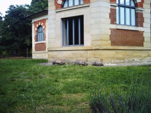 Jardin-des-Plantes-(62)