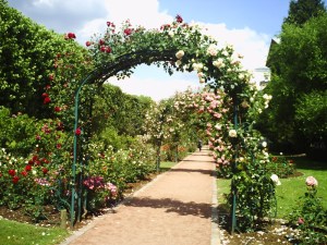 Jardin-des-Plantes-(65)