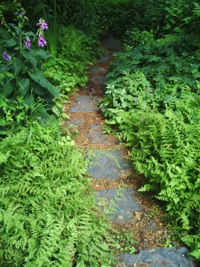 Jardin-des-Plantes-(83)