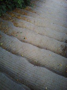 Fête-de-la-musique-(15)