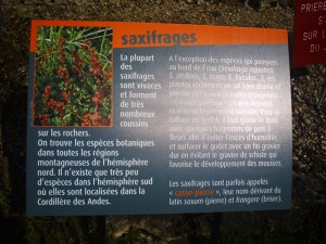 Jardin-des-Plantes-(7)