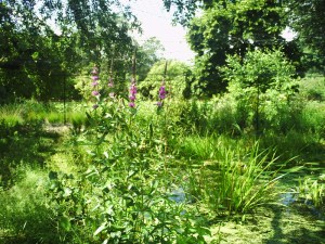 Jardin-des-Plantes-(30)