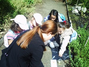 Jardin-des-Plantes-(31)