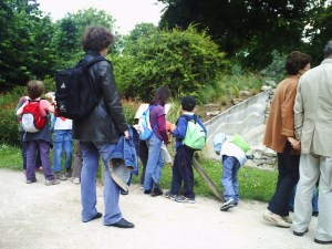 Jardin-des-Plantes-(56)