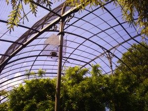 Jardin-des-Plantes-(61)