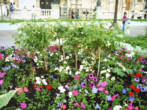 L'instant-et-l'éphémère-(18)