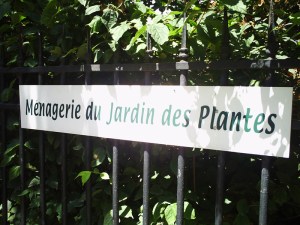 Jardin-des-Plantes-(38)