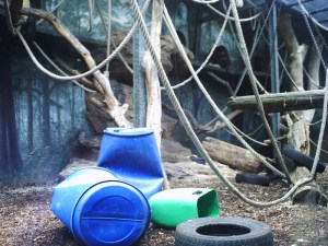 Jardin-des-Plantes-(40)