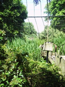 Jardin-des-Plantes-(59)