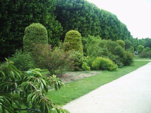 Jardin-des-Plantes-(87)