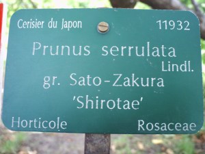 Jardin-des-Plantes-(90)