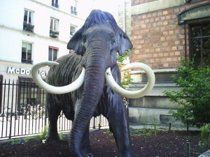 Jardin-des-Plantes-(95)