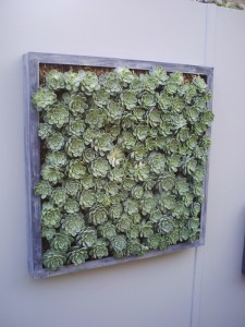 L'instant-et-l'éphémère-(15)