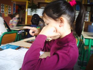 Fête-de-l'école-2009 (14)