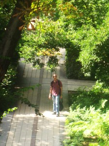 25-juillet-2009-Parc-de-Bercy-(45)