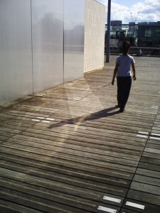 25-juillet-2009-BNF-(28)