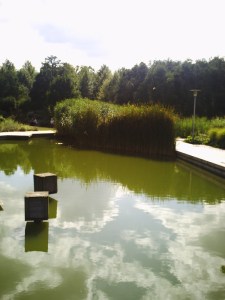 25-juillet-2009-Parc-de-Bercy-(21)