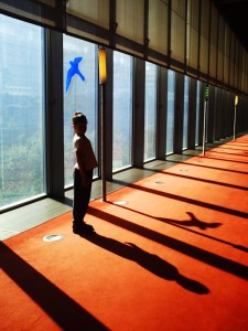 25-juillet-2009-BNF-(48)