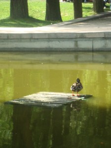 25-juillet-2009-Parc-de-Bercy-(11)