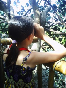 Disneyland-Paris-16-juillet-2009-(108)