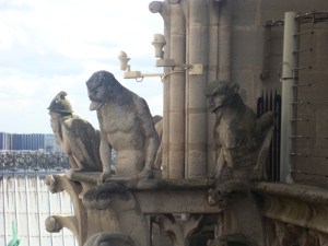 24-juillet-2009-(10)