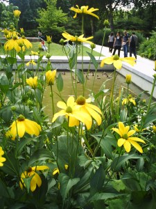 25-juillet-2009-Parc-de-Bercy-(6)