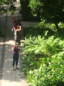 25-juillet-2009-Parc-de-Bercy-(46)