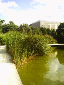 25-juillet-2009-Parc-de-Bercy-(15)