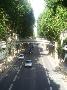 25-juillet-2009-Parc-de-Bercy-(44)