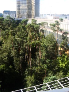 25-juillet-2009-BNF-(39)