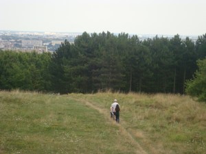 9-Août-2009-Au-Bois-de-Verrières (9)