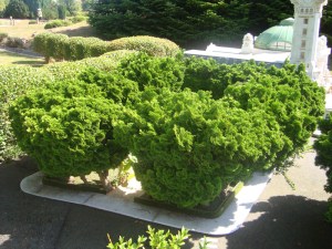 12-Août-2009-at-France-Miniature-(34)